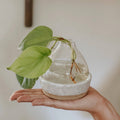 Ceramic Plant Propagation Station — handmade ceramics by Kiln & Co