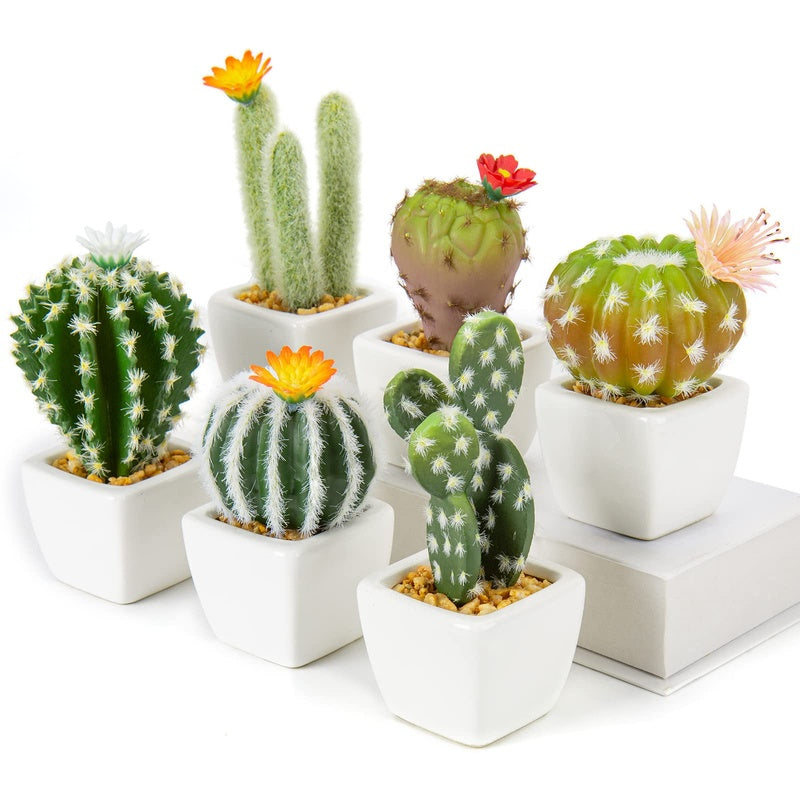 Mini Ceramic Cactus — handmade ceramics by Kiln & Co